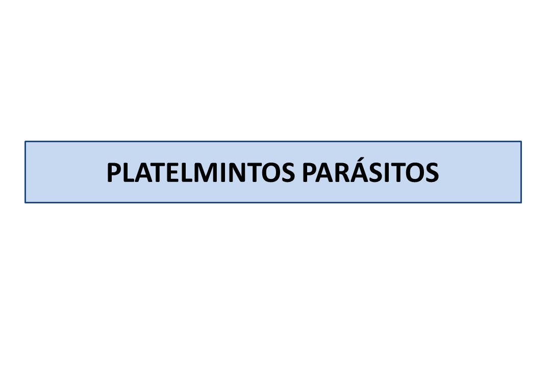 Cuales de los platelmintos son parasitos del ser humano